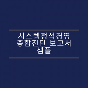 시스템정석경영 종합진단 보고서 샘플